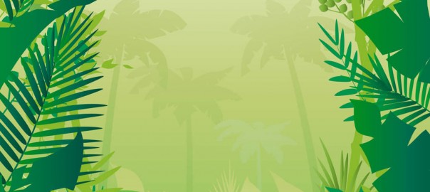 jungle clipart background - photo #46